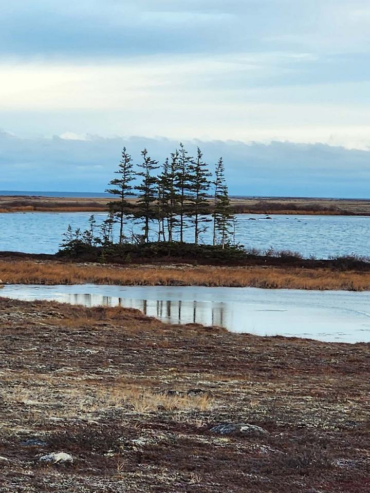 Churchill Manitoba Oct 2023 09